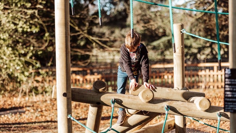 Playground at Dudmaston Hall in Shropshire